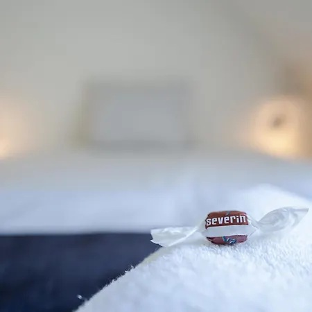 Severin Kursuscenter Og Konferencehotel Hotel