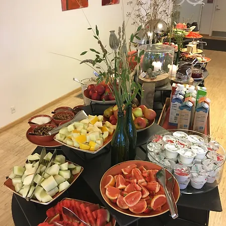 Severin Kursuscenter Og Konferencehotel Middelfart