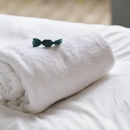 Severin Kursuscenter Og Konferencehotel Szálloda Middelfart
