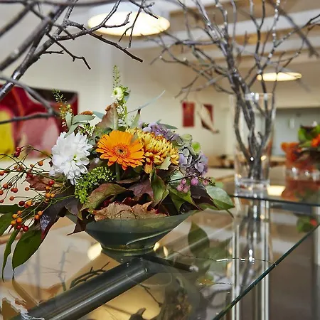 Severin Kursuscenter Og Konferencehotel Hotel Middelfart