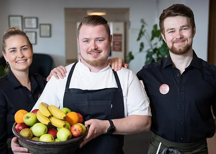 Hotel Severin Kursuscenter Og Konferencehotel Middelfart