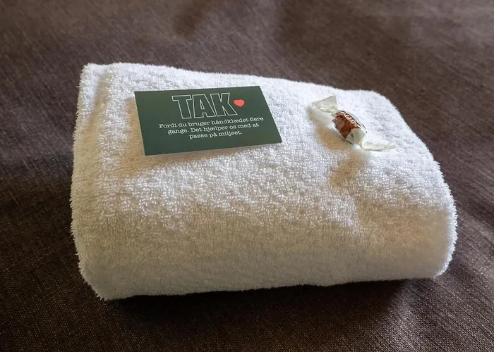 Severin Kursuscenter Og Konferencehotel 3*