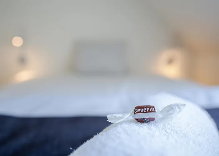 Severin Kursuscenter Og Konferencehotel ホテル