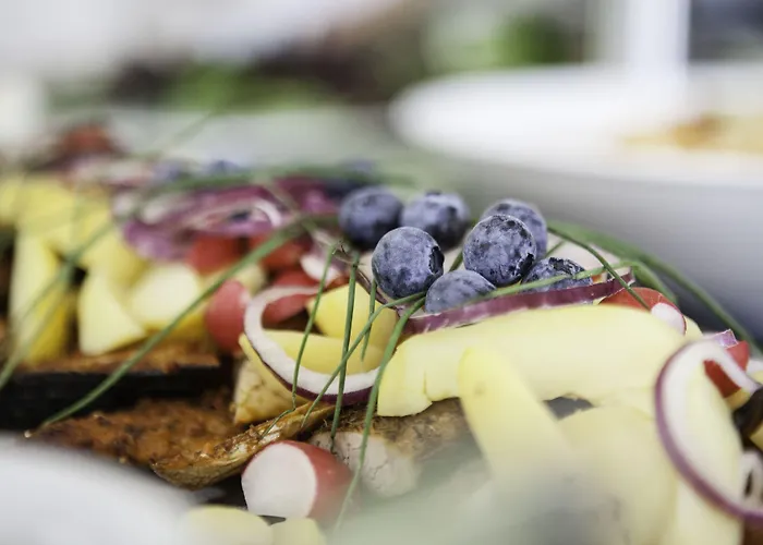 Hotel Severin Kursuscenter Og Konferencehotel Middelfart