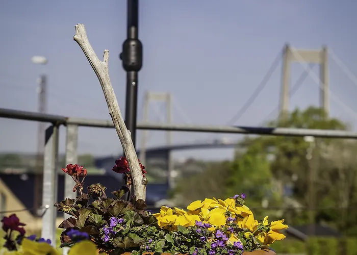 ホテル Severin Kursuscenter Og Konferencehotel ミゼルファート